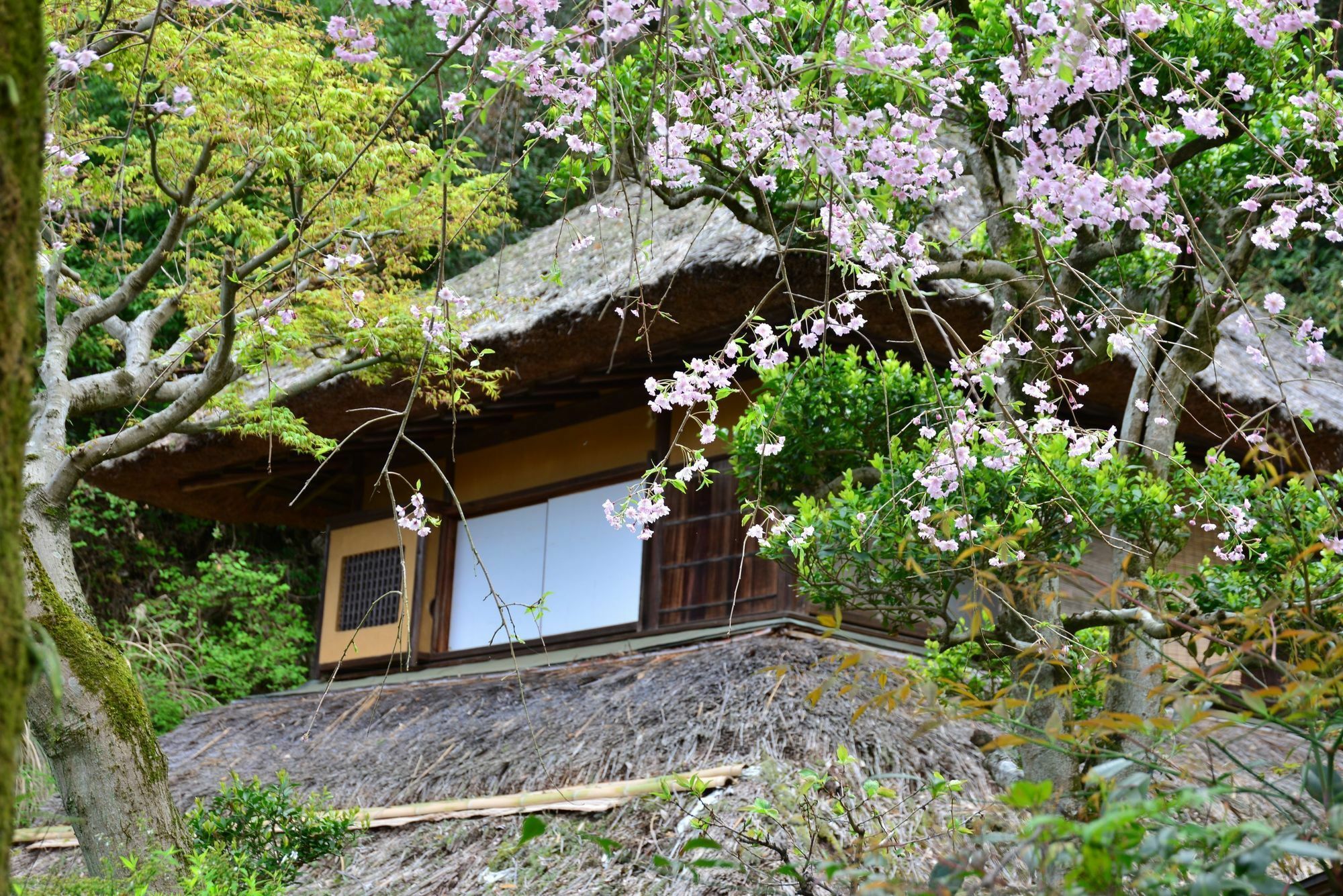Kona Besso Hotel Izunokuni Екстериор снимка
